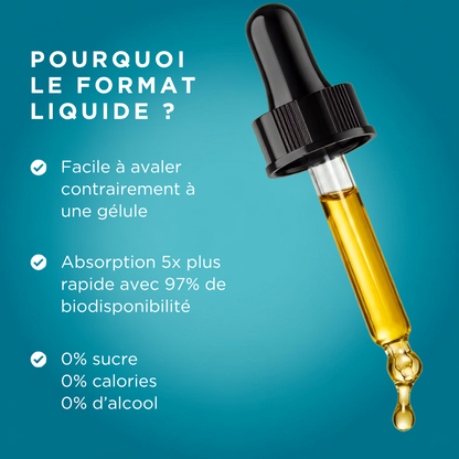Taille Fine